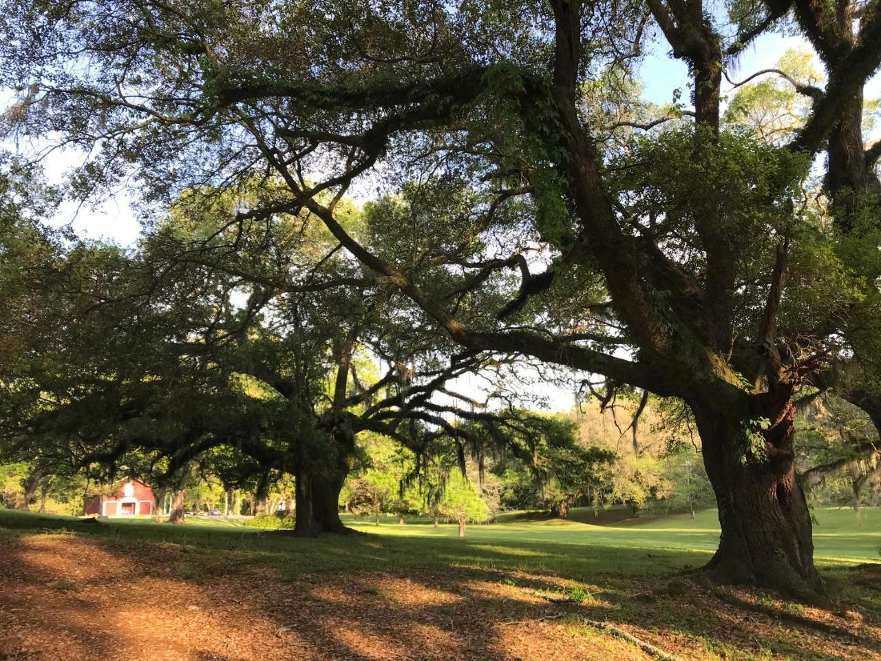 Canemount Plantation Inn Westside ภายนอก รูปภาพ