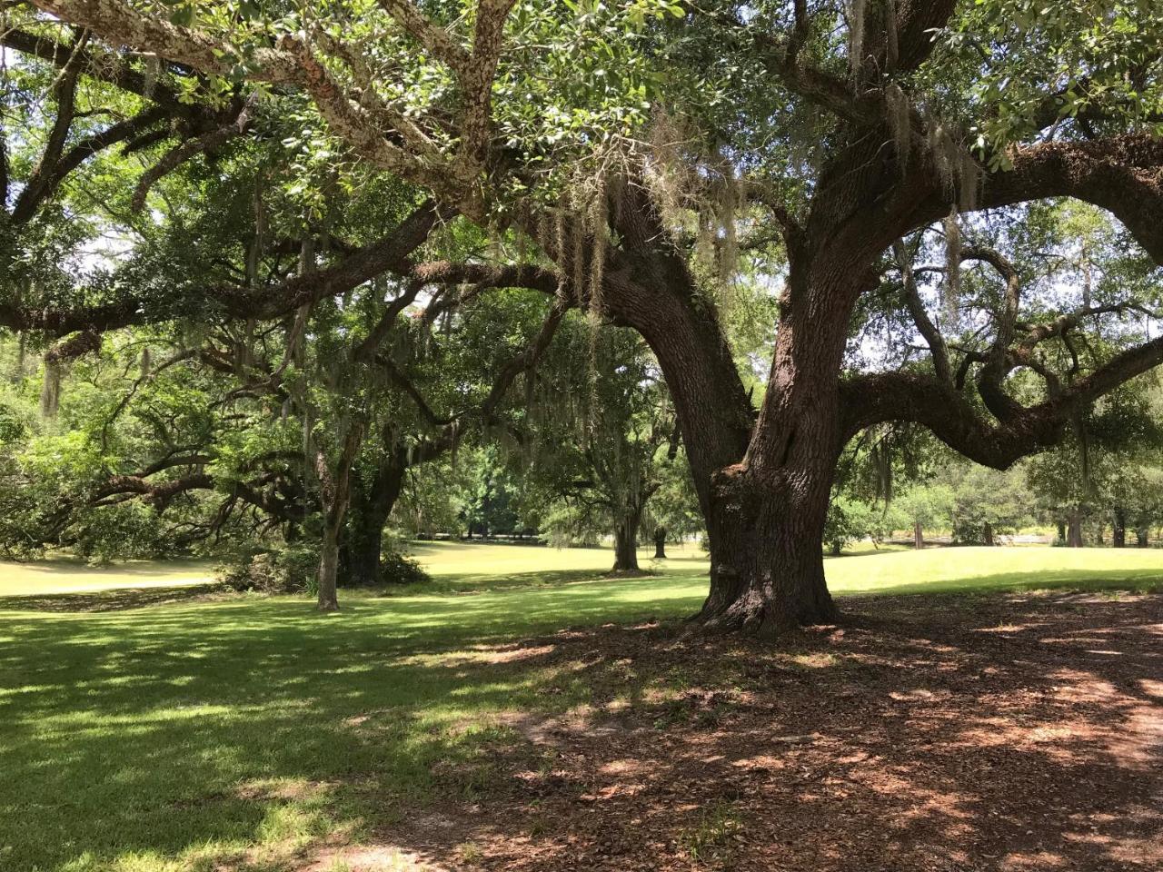 Canemount Plantation Inn Westside ภายนอก รูปภาพ